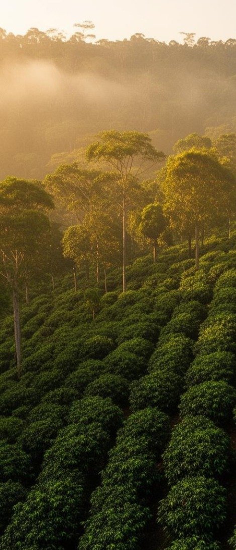 Brazilië & Peru